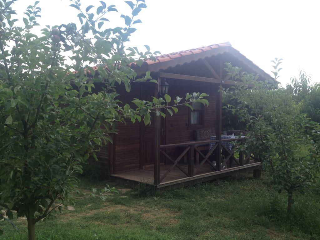 Salkim Konak Ve Agac Evler